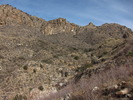 photo thumbnail #15