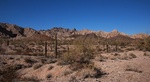 photo thumbnail #1