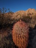 photo thumbnail #4