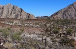 photo thumbnail #7