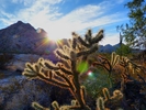 photo thumbnail #10