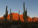 photo thumbnail #12