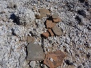 photo thumbnail #14