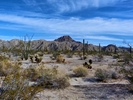 photo thumbnail #15