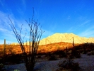 photo thumbnail #2