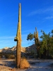photo thumbnail #5