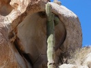 photo thumbnail #6