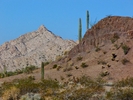 photo thumbnail #7