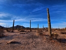 photo thumbnail #12