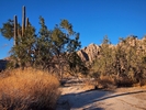 photo thumbnail #14