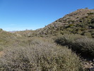 photo thumbnail #15