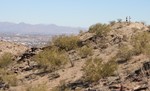 photo thumbnail #5