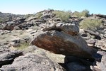 photo thumbnail #6