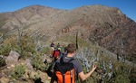 photo thumbnail #9
