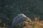 photo thumbnail #12