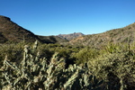 photo thumbnail #2