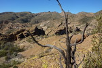 photo thumbnail #5