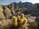 2011-02-06 :2: Deadman Trail #70 :: PrestonSands