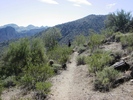 photo thumbnail #4