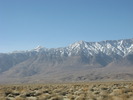 photo thumbnail #10