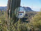 photo thumbnail #4