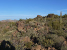 photo thumbnail #5