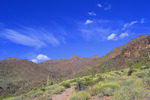 photo thumbnail #5