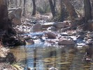 photo thumbnail #1