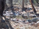 photo thumbnail #9
