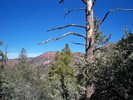 photo thumbnail #10