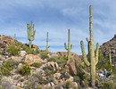 photo thumbnail #5