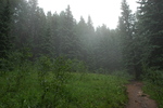 photo thumbnail #1