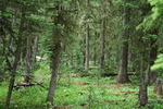 photo thumbnail #11