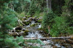 photo thumbnail #14