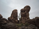 photo thumbnail #7