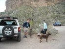 photo thumbnail #10