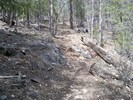 photo thumbnail #2