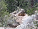 photo thumbnail #5