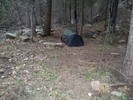 photo thumbnail #10