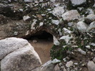 photo thumbnail #9