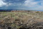photo thumbnail #15