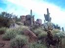photo thumbnail #1