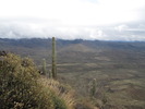 photo thumbnail #7