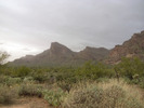 photo thumbnail #9