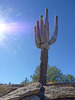 photo thumbnail #12