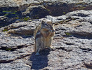 photo thumbnail #15