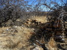 photo thumbnail #3