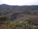 photo thumbnail #2