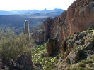 photo thumbnail #6