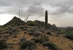 photo thumbnail #6